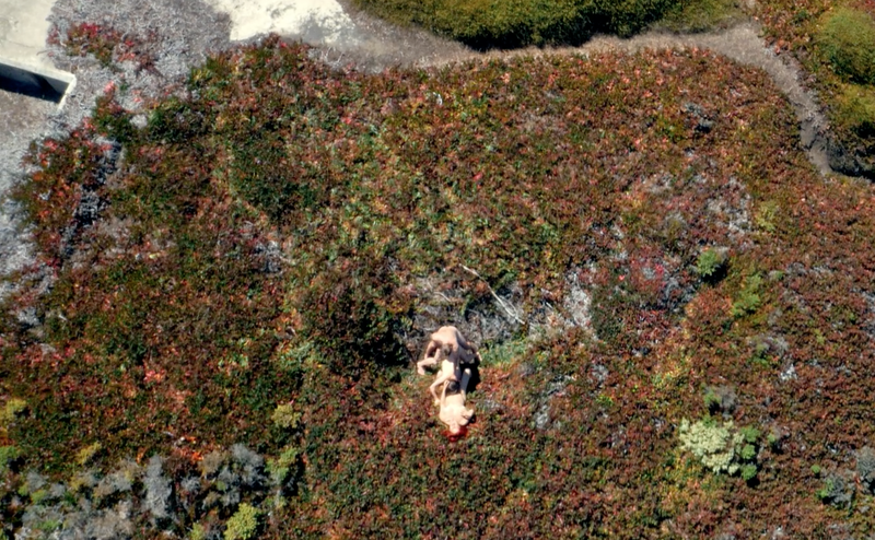Illustration for article titled The First Porn Shot With a Drone Is Still Just People Boning (NSFW)